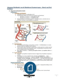 Algemene Heelkunde - Opgeloste examenvragen Shock van Prof. Gasthuys