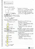 Microscopy and Ultracentrifugation notes