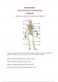 Unit 1: Anatomy & Physiology  - Skeletal System (D*)