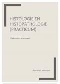 Practicum histologie en histopathologie - volledige uitwerking preparaten