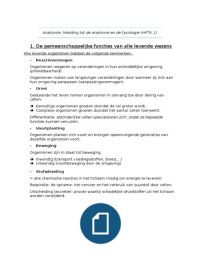 Anatomie H1