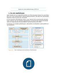 Anatomie H4