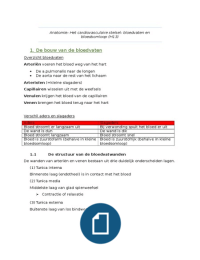 Anatomie H13