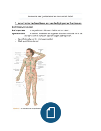 Anatomie H14