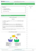 IGCSE BIOLOGY "ENZYMES" COMPLETE NOTES 