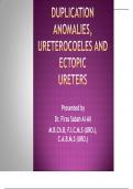 Duplication anomalies Presented by Dr. Firas Sabah Al-Ali M.B.Ch.B, F.I.C.M.S (URO.), C.A.B.M.S (URO.)