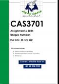 CAS3701 Assignment 6 (QUALITY ANSWERS) 2024