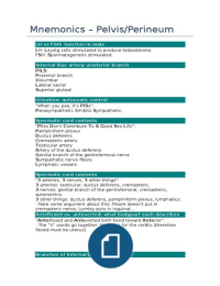 Gross anatomy study mnemonics pelvis and perineum