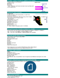 Gross anatomy study mnemonics head and neck