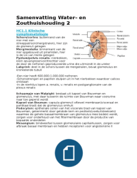 Samenvatting 5O204 Water- en zouthuishouding 2