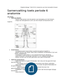 Samenvatting Anatomie toets periode 6