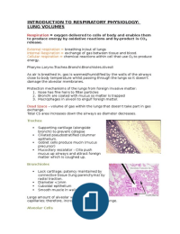 Respiratory System 1: Lung Volumes & Functional Residual Capacity 