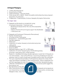 BIOL2009 LT4 Arthropod Phylogeny