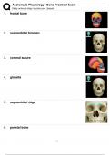 Anatomy and Physiology Bone Practical Exam questions with correct answers 100% 2024