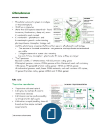 LT20 Chlamydomonas