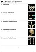 A AND P 1 SKELETAL BONES PRACTICAL EXAM QUESTIONS WITH CORRECT ANSWERS 100% 2024