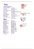 Prefixes of Medical Terms