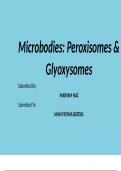 Microbodies_ A complete guide