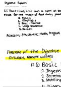 Digestive System Summary-Anatomy and Physiology 2