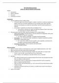 MT7 Information Economics Notes