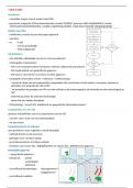 Samenvatting An Introduction to Geographical Information Systems -  Geografische informatiesystemen (GIS) (C003531A)