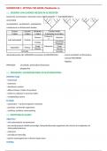 Samenvatting -  De biosfeer: planten (C002459A)