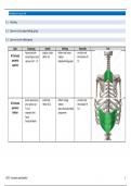 spiertabellen anatomie (locomotorisch stelsel en huid - ba1 geneeskunde)) 