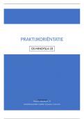 Dyslexie: signalering en begeleiding (praktijk oriëntatie verslag) periode D 