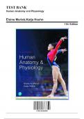 Human Anatomy Physiology 11th edition by Elaine Marieb 2024 Test Bank