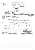 Bordschema met belangrijkste info voor examen Bacteriologie, virologie en serologie (3e jaar bacteriologie MLT)