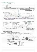 Bordschema met belangrijkste info voor examen Bacteriologie, virologie en serologie (3e jaar bacteriologie MLT)