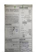 Lipids: Triglyceride gap fill