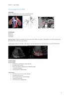 Echografie: lever, galblaas, galwegen, pancreas, mamma, nieren, bijnieren, milt, onderbuik