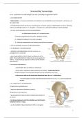 Abdomen 1 urologie en gynaecologie