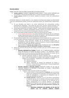 Derecho Sindical - Profesor Palomeque 