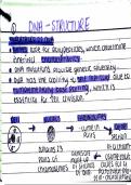 aqa alevel biology dna and genetic diversity notes handwritten detailed