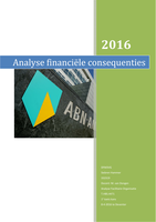 AFO Analyse Financiële consequenties