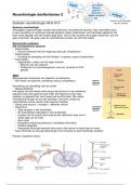 Neurobiologie deeltentamen 2