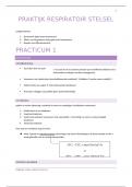 respiratoir stelsel PRAKTIJK-samenvatting