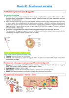 Human Biology - H21