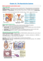 Human Biology - H16