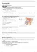 Samenvatting Medische Vorming Gynaecologie