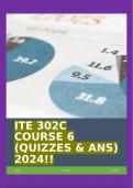 ITE 302C COURSE 6 (QUIZZES & ANS) 2024!!