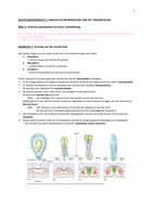 ZSO 2 - Aanleg en ontwikkeling vh zenuwstelsel