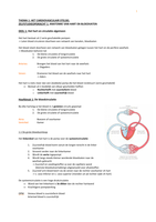 ZSO 1 - Anatomie van hart en bloedvaten 