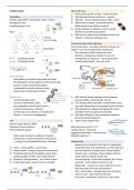 Module 2.3: Nucleotides and nucleic acids 