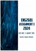 ENG2601 Assignment 3 2024 | Due 5 August 2024