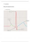 EKG Reading - Assignment