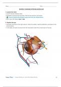 Eye and Ear Lab - Assignment