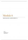 CHE module 6.1 samenwerken beoordeeld met een G